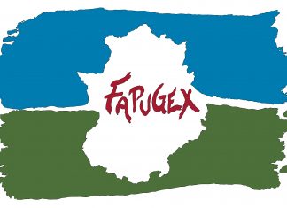Federación de asociaciones del pueblo gitano extremeño