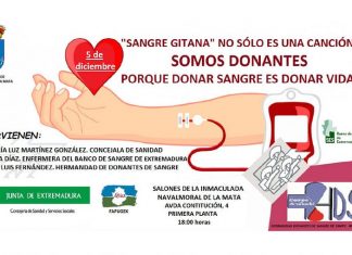 Sangre gitana